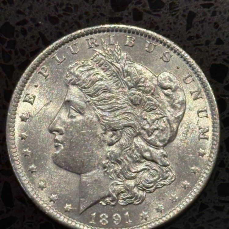 Lot 220: 1891 Morgan Dollar Cracked From Roll