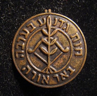 Israel: Gadna pre-military youth battalion participant's pin at the Gadna Farms in the Arava