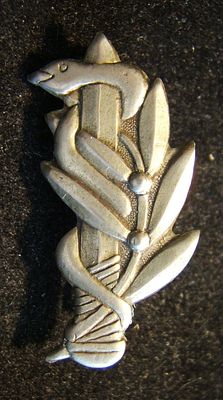 Israeli Army/IDF senior medical officer's service pin; 3.25g, 15.5 x 30.5mm