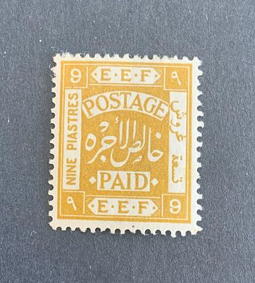 Typographical plate varieties - position 118 of the upper pane on 9 piastres stamp (Ba #13a); 