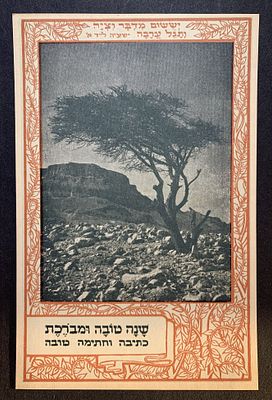 גלויות ארץ ישראל, ראה תיאור באנגלית מתחת או פנה אלינו לתרגום או הסבר. Early Israel Rosh HaShana 