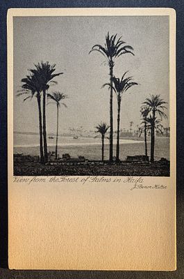 גלויות ארץ ישראל, ראה תיאור באנגלית מתחת או פנה אלינו לתרגום או הסבר. Eretz Israel vintage 