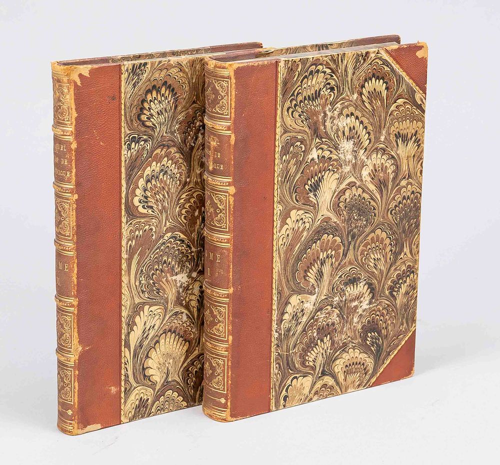 Mathematical books by Jean Marie Constant Duhamel, "Cours de mécanique," in 2 volumes 