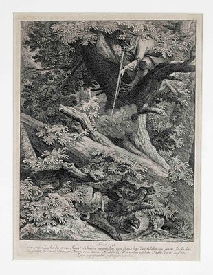Johann Elias Ridinger (1698-1767), collection of 3 etchings with hunting scenes: 20-point stag 