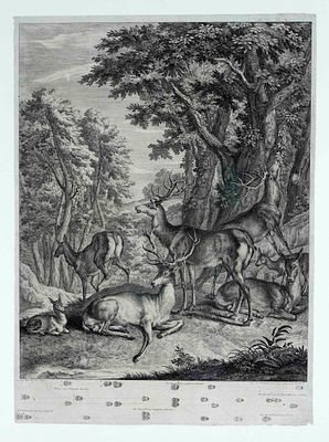 Johann Elias Ridinger (1698-1767), two large etchings with deer in the forest and in a park 