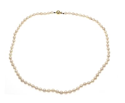 Akoya pearl necklace with ball clasp GG 585/000 with cream-white Akoya pearls 5.9 - 5.5 mm, L. 