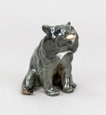 Collar bear, seated, Meissen, mark after 1934, first choice, designed by Erich H&ouml;sel around 
