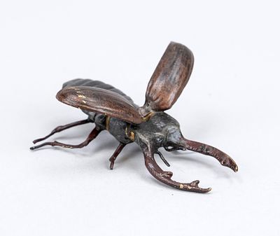 Viennese bronze, 20th century, polychrome cold-painted bronze in the form of a stag beetle 
