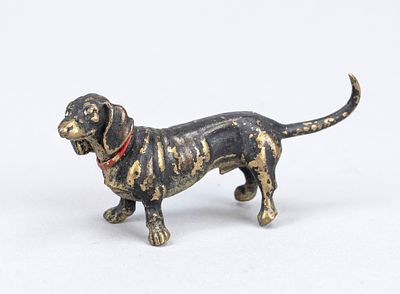 Viennese bronze, 20th century, polychrome cold-painted bronze in the form of a dachshund 