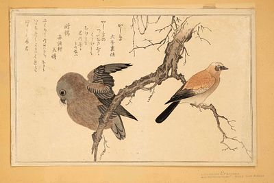 Color woodblock print by Kitagawa Utamaro, Japan, Edo/Meiji periods. Sheet from the Momo 