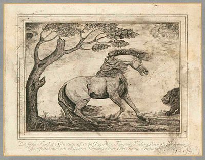 Jakob Johan von Bilang (1740–1803), Finnish artist, Horse recoiling from a lion, etching after 