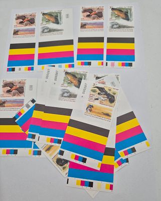 בולי ציפורים עם שובל ללא שינון