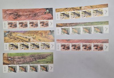 בולי ציפורים עם שובל ללא שינון