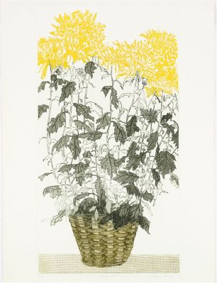 Elaine Simel (American, B. 1928) Yellow Mums. Title: Yellow Mums Subject: Flowers Type: Etching 