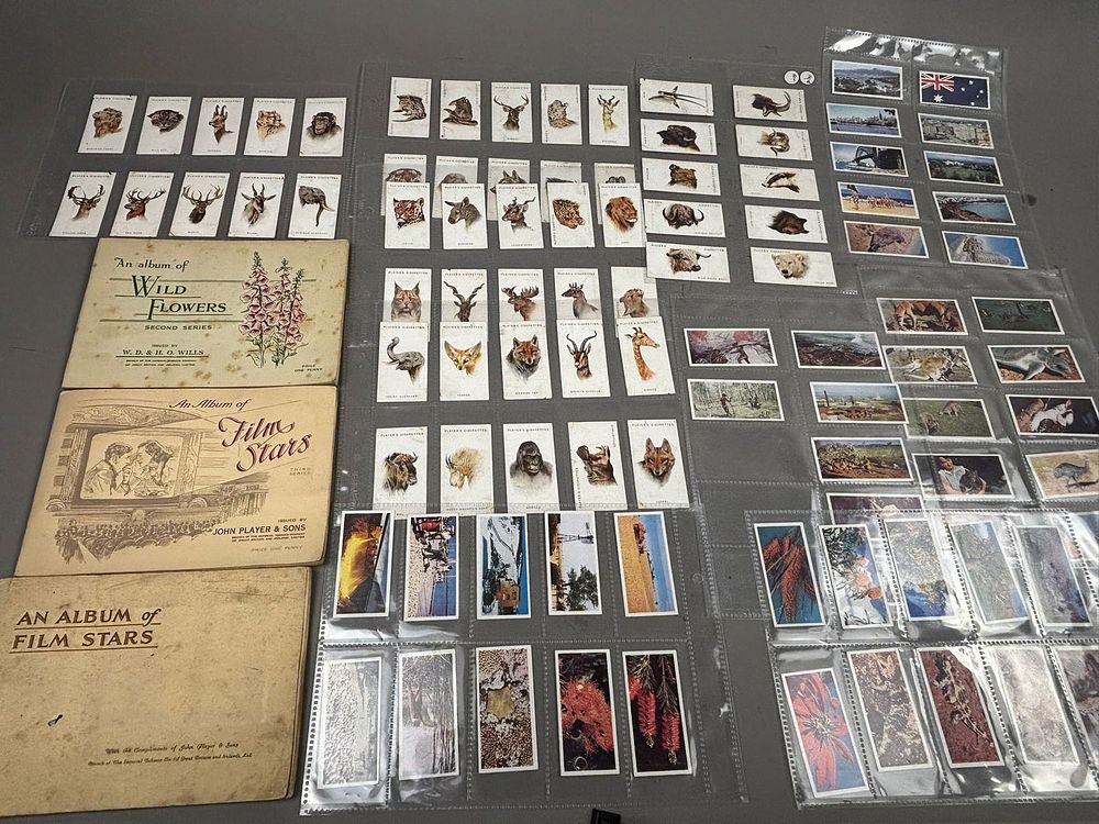 Lot 237: 247 Antique Player Tobacco Film Star Animal Albums