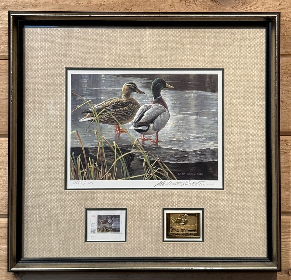 Lot 382: Robert Bateman Arksansas 1985 Duck Stamp Framed Print