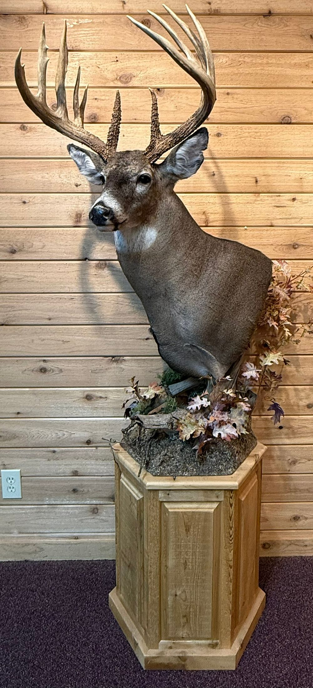 Lot 416: 14 Point Whitetail Deer Taxidermy Shoulder Mount