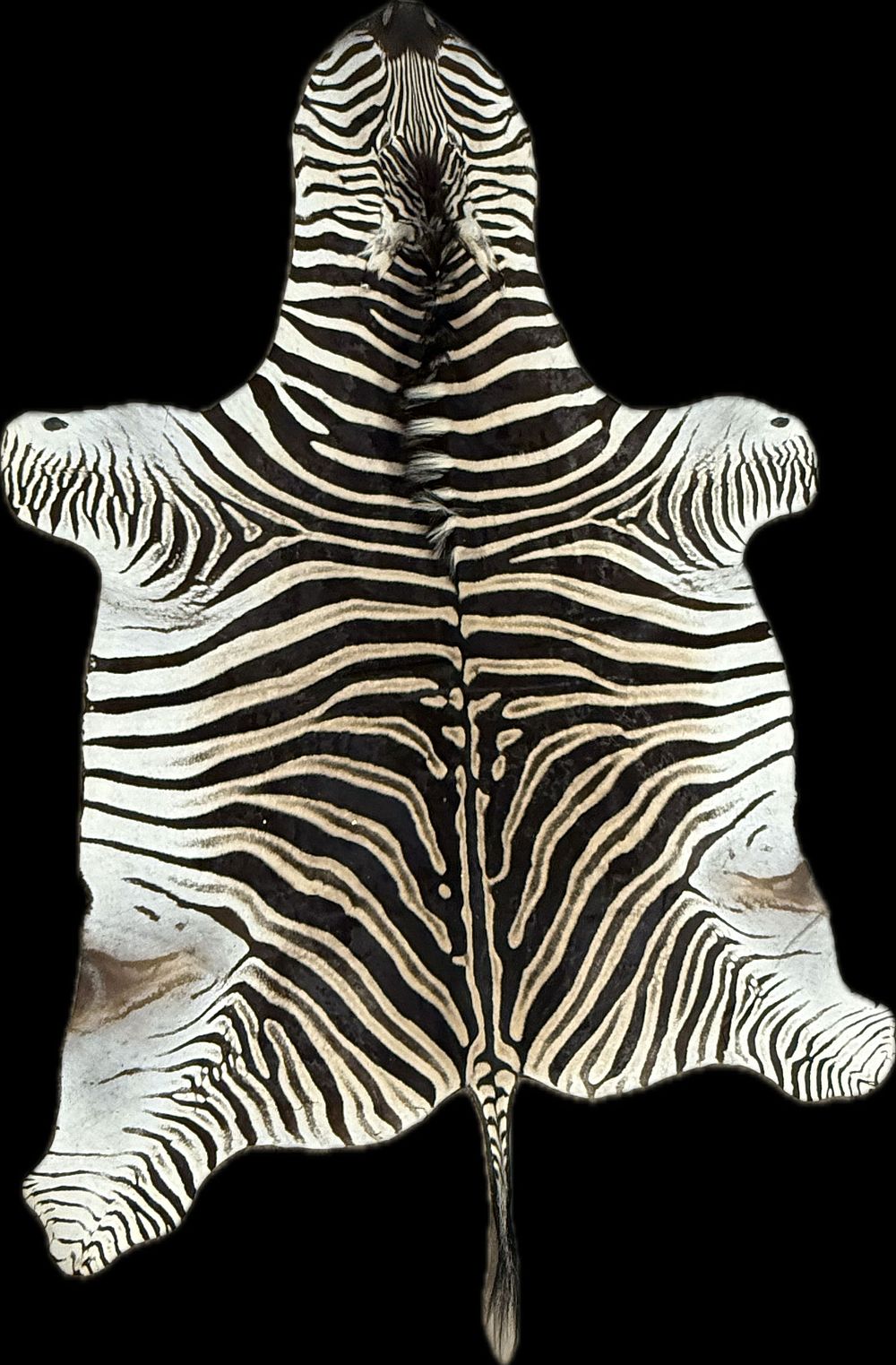 Lot 419: African Zebra Large Real Genuine Hide Skin Rug