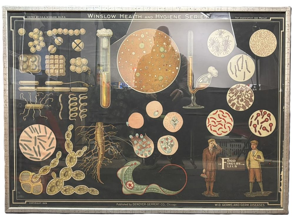Lot 327B: 1929 Denoyer Geppert Winslow Health & Hygiene Series Germs & Diseases