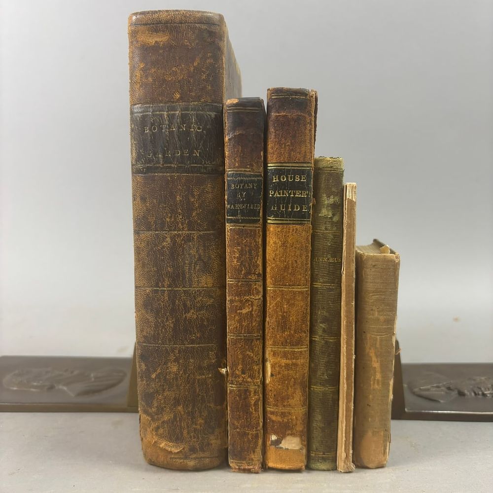 Lot 266: Early Botanical & Natural Science Books Botanic Garden Linnaeus 6 Vol Lot