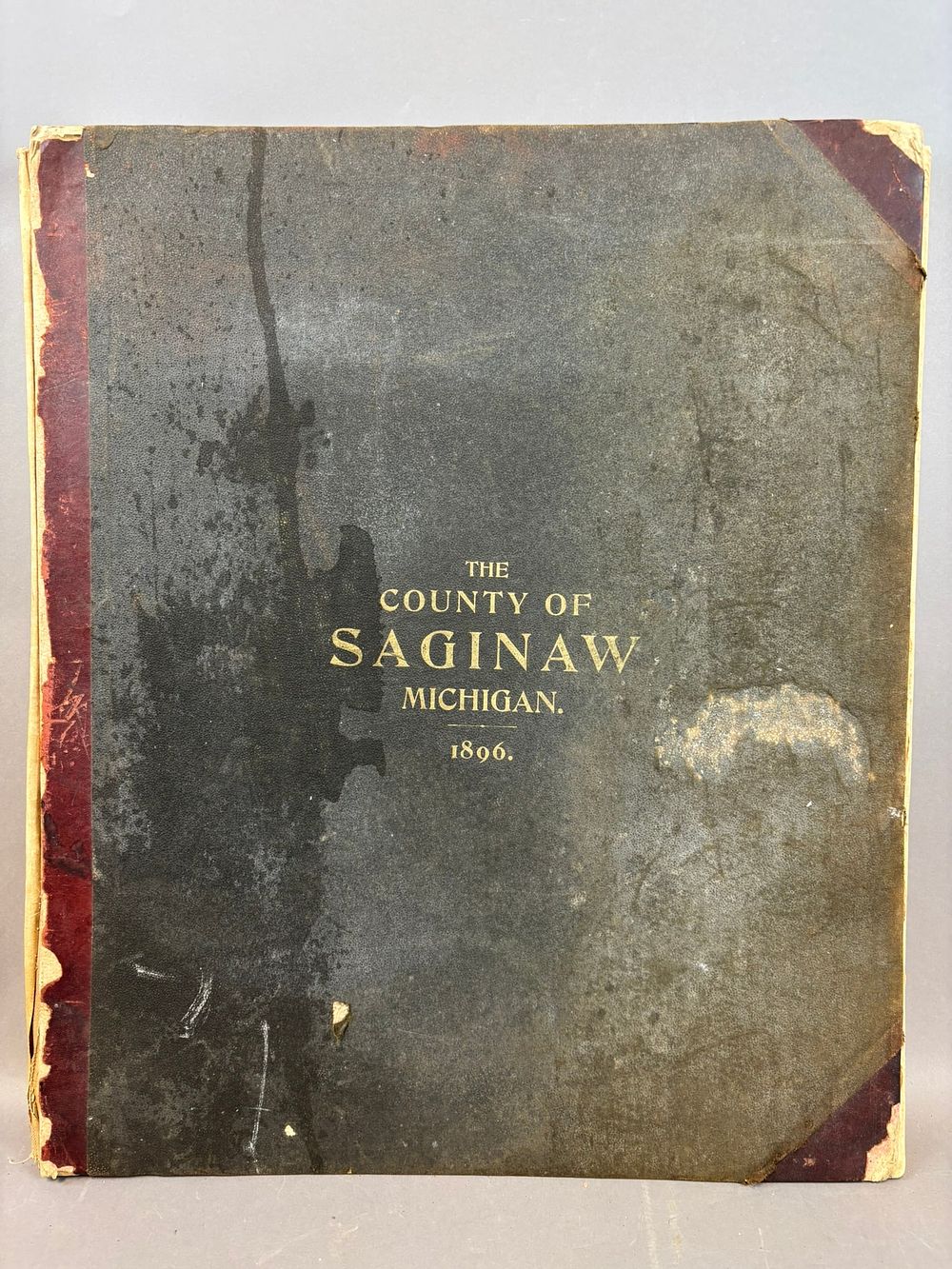 Lot 303C: 1896 Atlas of Saginaw County Michigan Imperial Publishing Co Maps