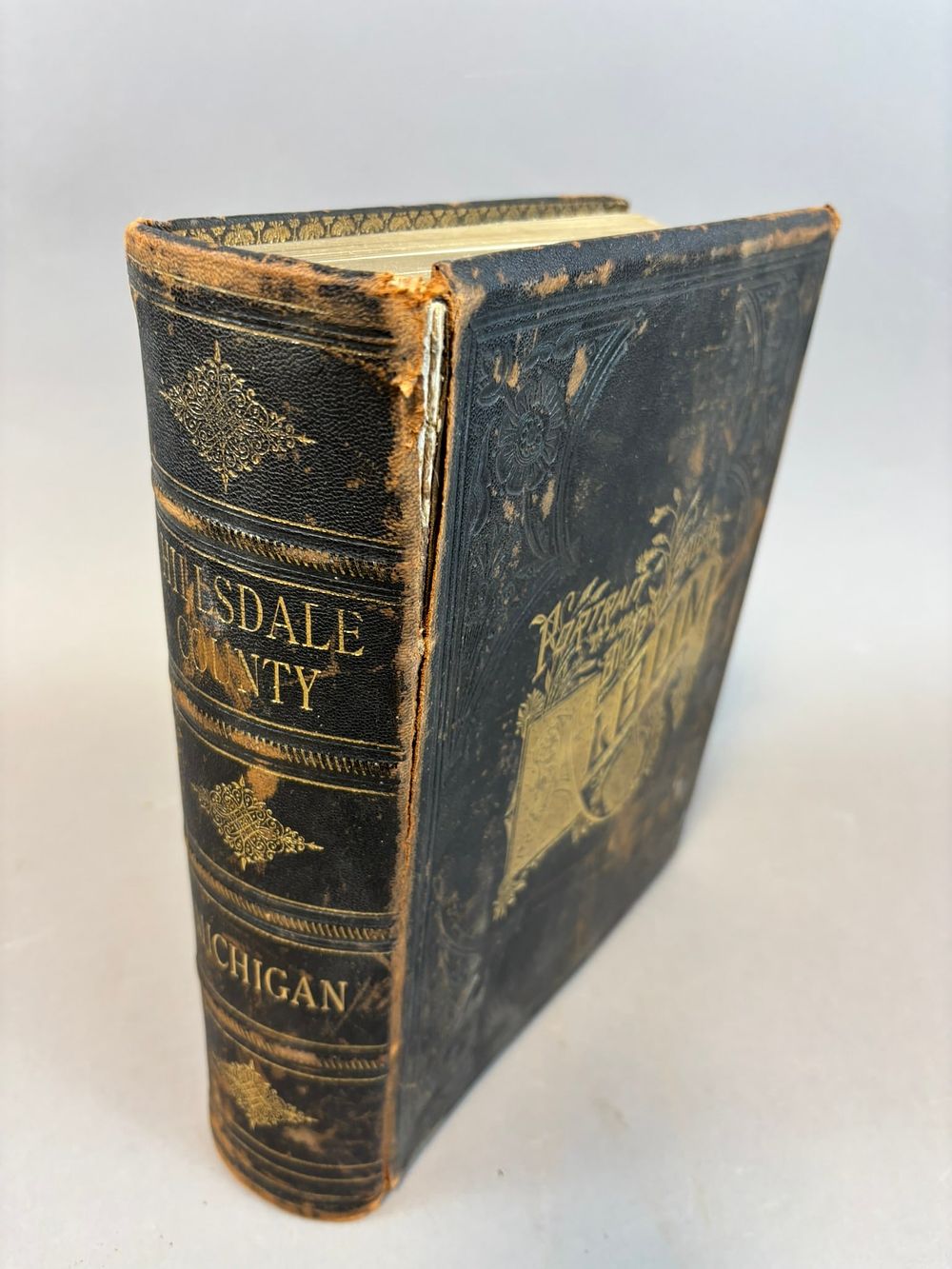 Lot 305B: 1888 Portrait Biographical Album Hillsdale County Michigan Chapman Bros