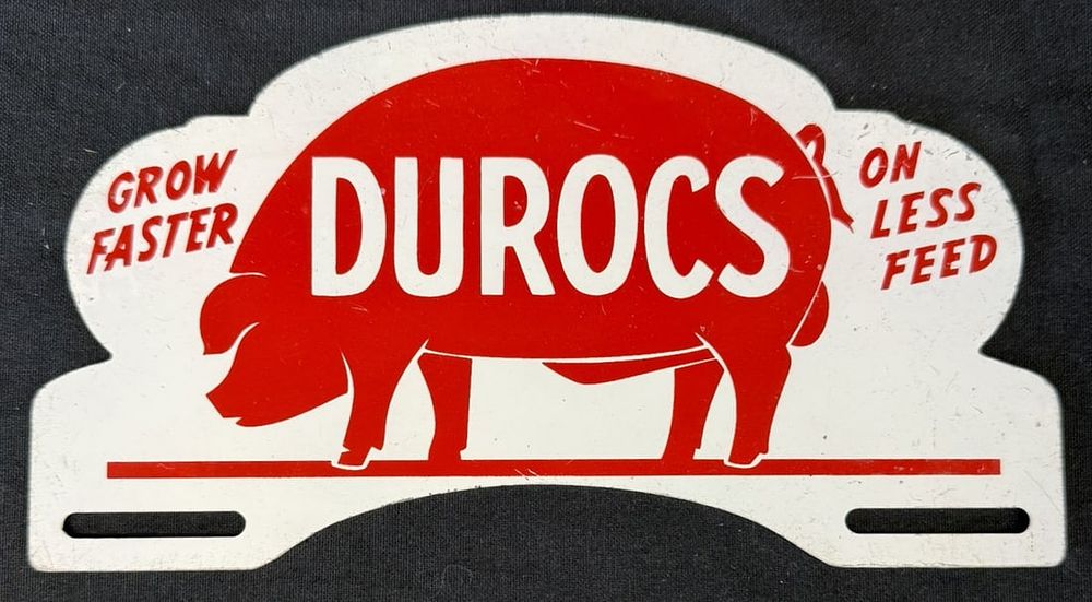 Lot 310: Duroc Hogs Grow Faster On Less Feed SST License Plate Topper