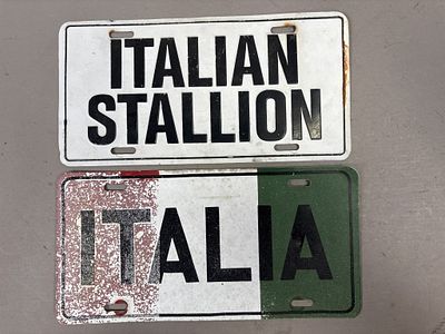 Pair Italian Stallion & Italia Personalized Plates. See all photos as a better idea of 