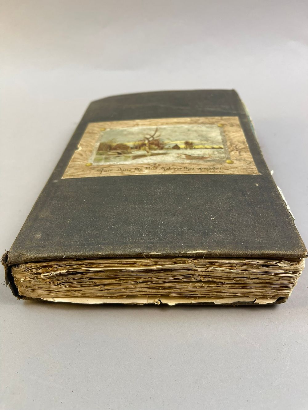 Lot 204: Antique 1892 Book w/ Advertising Cutout Journal