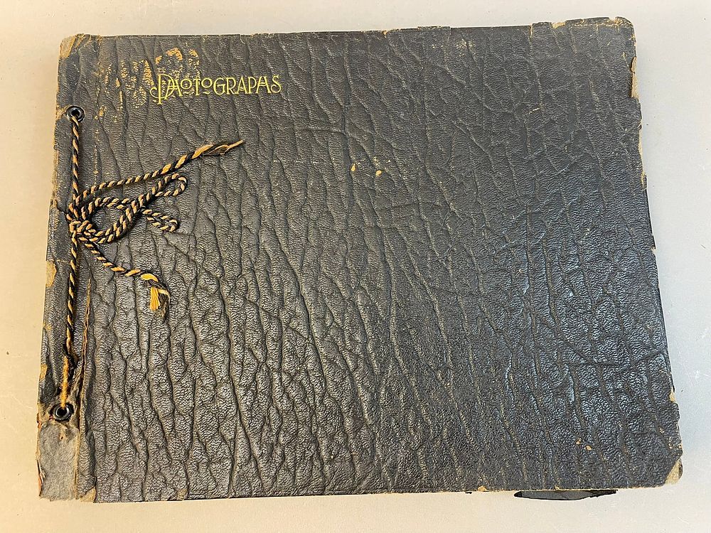 Lot 212: Antique Photo Album 368 Photo Family Children Pets