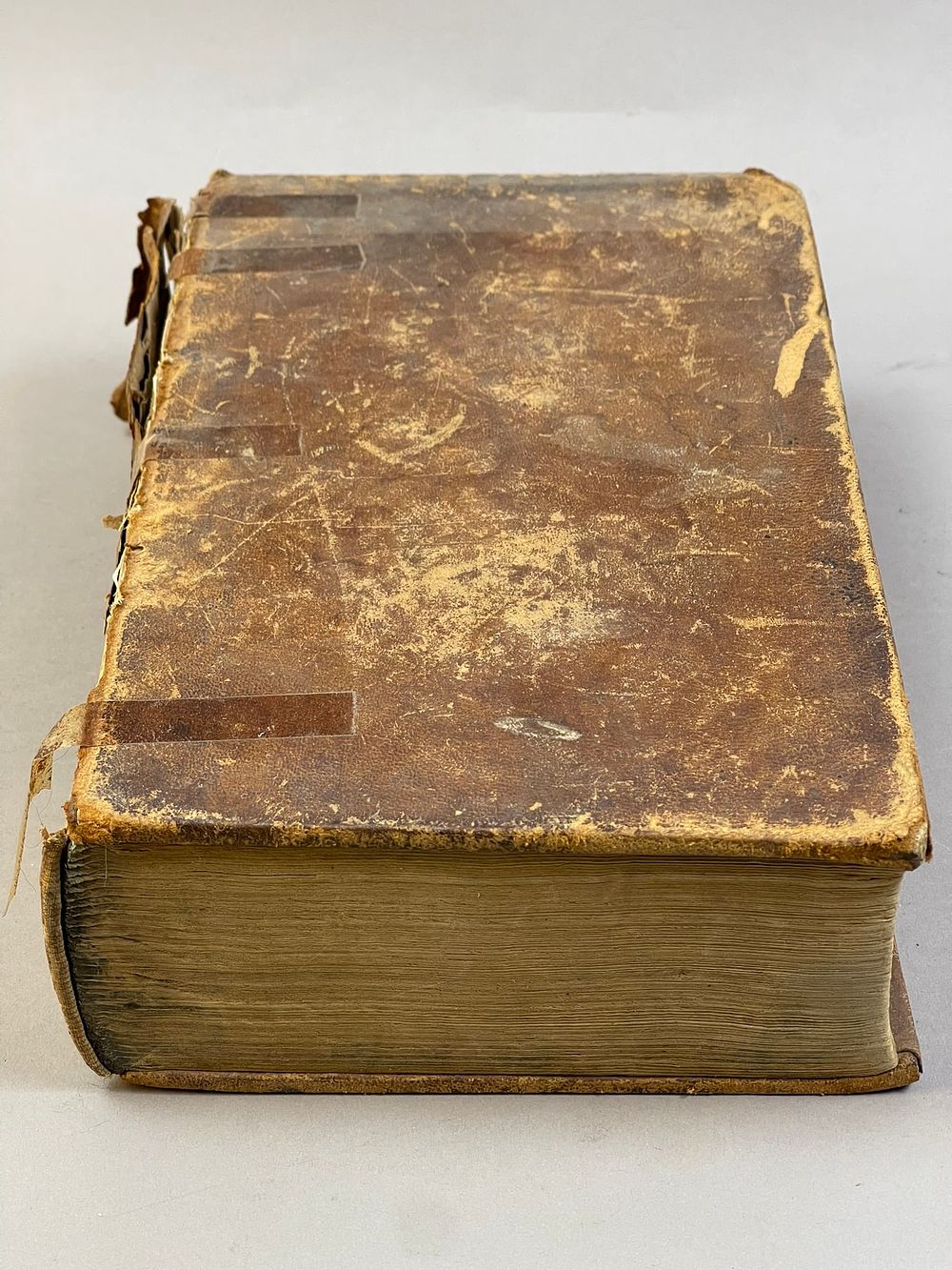 Lot 230: Antique The Naturalist's Library 1850s Gould Book