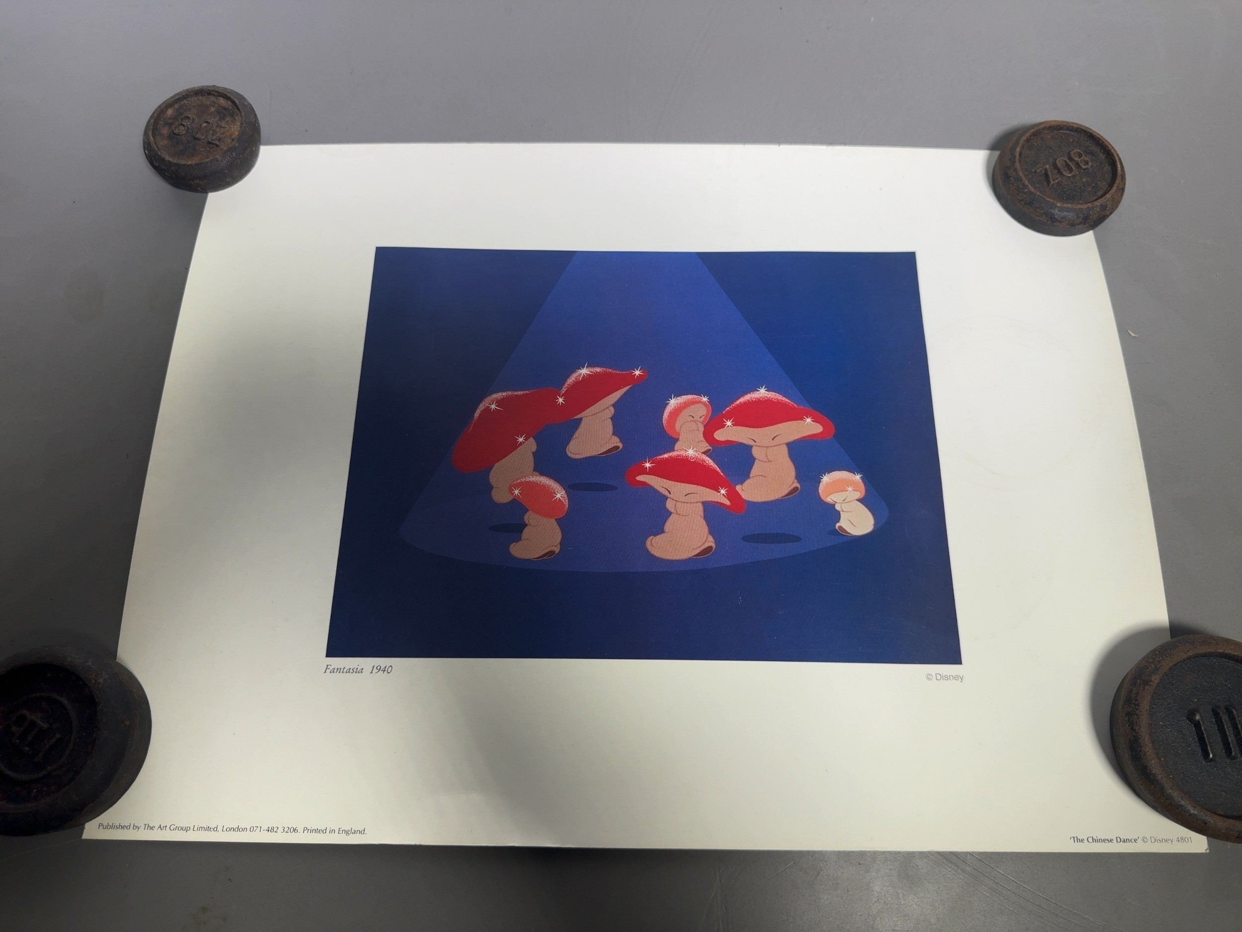 Lot 24
