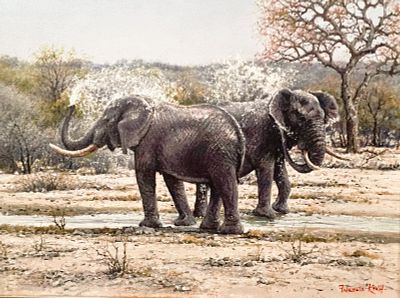 Francois Koch (Johannesburg, S. African Artist, 1944-) "A Favorite Spot" Oil on Linen. Francois 