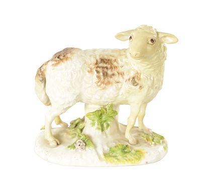 A MID 18TH CENTURY MEISSEN STANDING FIGURE OF A SHEEP on an oval encrusted leaf spray stump 