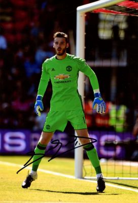 DE GEA DAVID: (1990- ). <span style="font-size: 11.0pt; line-height: 107%; font-family: 