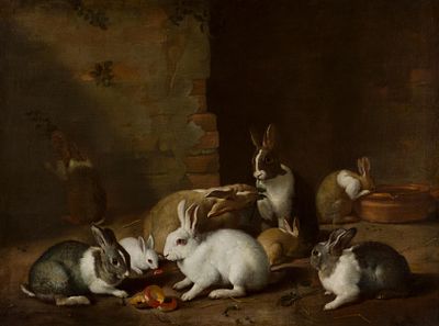 Giovanni Agostino Cassana zugeschrieben: Kaninchen. Giovanni Agostino Cassana zugeschrieben 