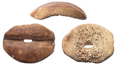 "Китай династия Чжоу 1027-221 гг. до н э. Подражание раковине каори. Кость, 0,75 гр. Размер 