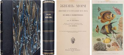 Келлер, К. Жизнь моря: Живот. и растит. мир моря, его жизнь и взаимоотношения: Пер. с нем. с 
