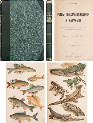 [Комплект иллюстраций] Шлейер, А. Рыбы, пресмыкающиеся и амфибии / Пер. с нем. Е.О. и Д.С. - 