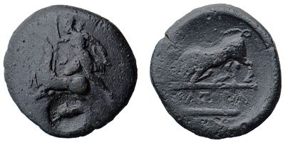 "г.Херсонес (300-290 гг. до н.э.) Бронза, 6,40 гр. Диаметр 22 мм. Состояние XF-."