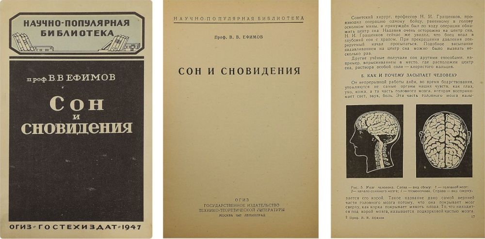 Каменные Сны Книга Купить