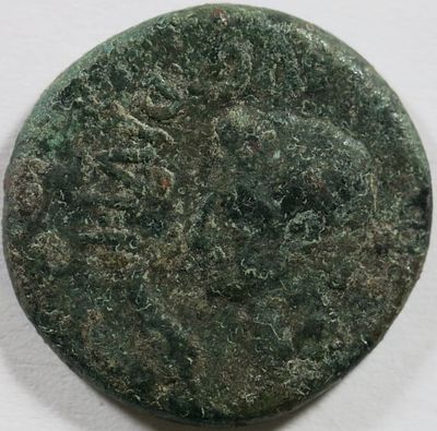 Roman Imperial Iberian Augustus 27 BC – 14 AD. (Lucus Augusti). AE As 8,41 g. IMP AVG DIVI F. 