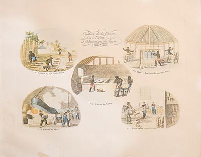 ESCUELA EUROPEA, S. XX - Culture de la Canne a Sucre et fabrication du Sucre. Reproducci&oacute;n de obra 
