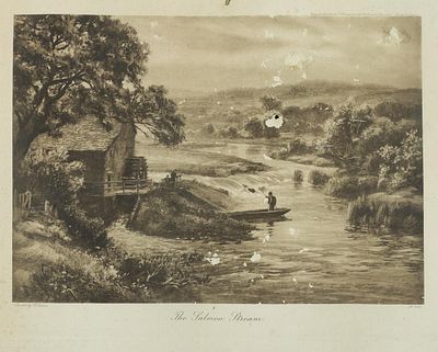 ESCUELA INGLESA, S. XIX - The Salmon Stream. Pintado por R. Gallon y publicado por Hildesheimer 