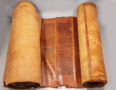 ספר תורה על גוויל. ספר תורה גדול, כתוב-ביד על גוויל, ככל הנראה בכתב ספרדי. גובה הקלף: 55.5 ס"מ 