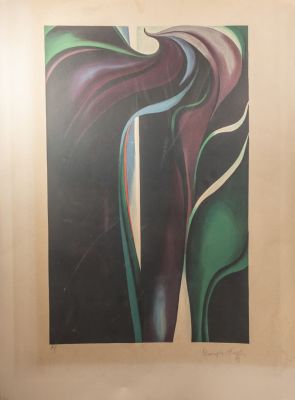 Georgia O'Keeffe (1887-1986). ג'ורג'יה או'קיף (1887-1986), Jack in the pulpit, ליטוגרפיה. מידות 