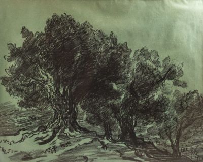 לאופולד קרקואר (1890-1954), עצים, 1940, פחם על נייר, 42X52.5 ס"מ, חתום בראשי תיבות ומתוארך.