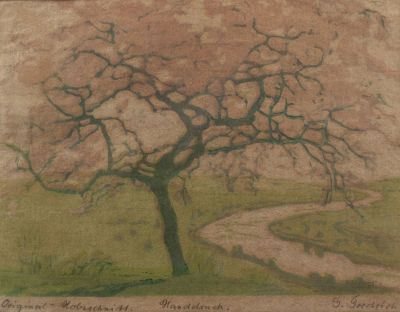 הדפסים גרמניים. לוט שני הדפסים, כולל: *Gertrud Fredrich (1874-1963) הדפס עץ צבוע ביד, עץ פורח 
