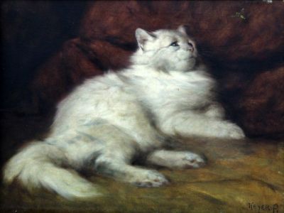 ארתור הייר (Arthur Heyer), חתול. ארתור הייר (Arthur Heyer, 1872-1931), חתול, שמן על בד, 40x50 