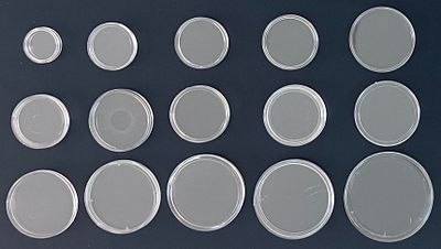 לוט 15 קפסולות, שונות זו מזו , לאחסון מטבעות/ מדליות.